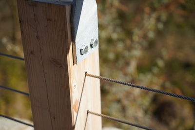 Close-up of text on wooden fence