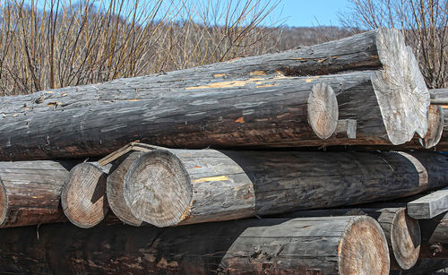 Old round logs in a heap close up