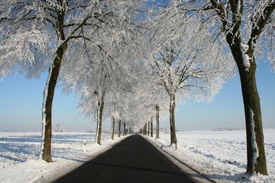 Snow covered road amidst trees during winter