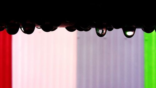 Close-up of water hanging from roof