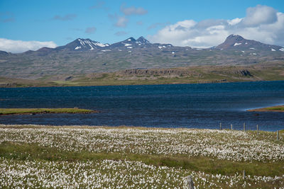 Scenic view of lake and mountains against sky