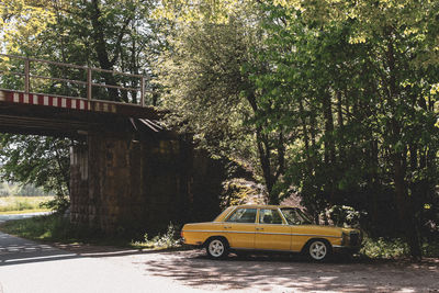 Car parked on bridge in forest