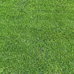 Full frame shot of soccer field