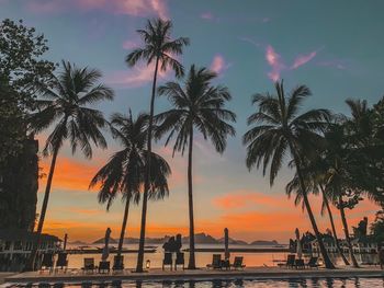 Silhouette palm trees on beach against sky during sunset