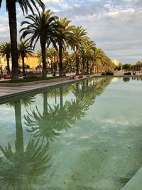 Palm trees by swimming pool against sky