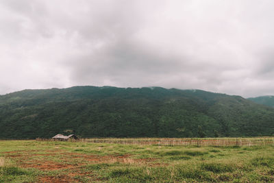 environment
