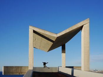 Low angle view of bird against clear blue sky