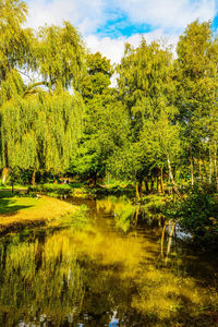 Scenic view of lake in forest against sky