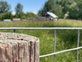 Close-up of metal fence against plants