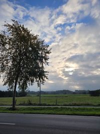 sky