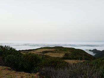 Scenic view of beach and sea against clear sky