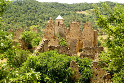 Old ruins amidst forest