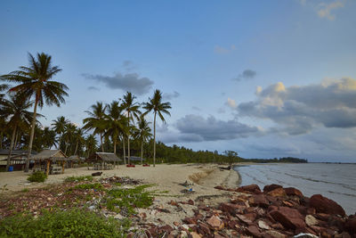 Palm trees on beach against sky