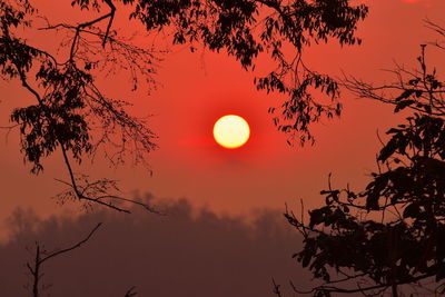 Silhouette tree against sky during sunset