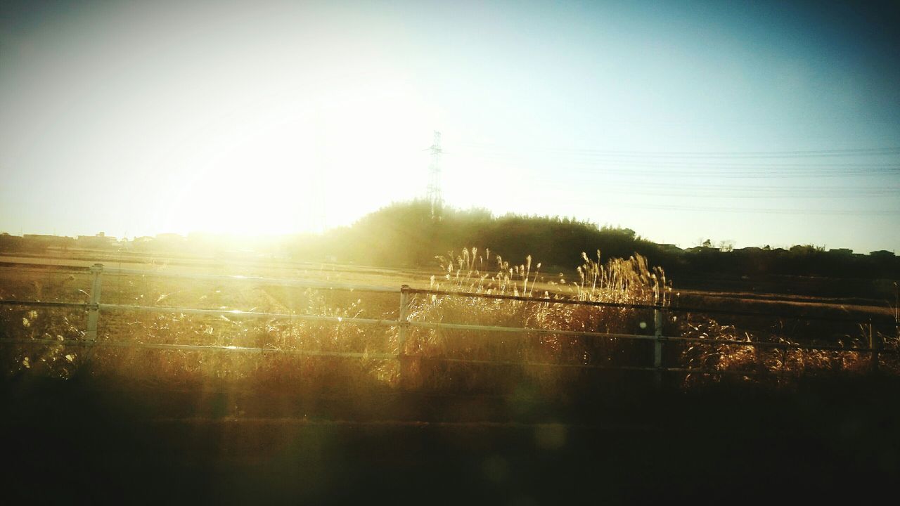 sun, sunlight, sunset, tranquility, sunbeam, field, tranquil scene, lens flare, clear sky, landscape, nature, beauty in nature, sky, scenics, power line, plant, silhouette, tree, growth, electricity pylon