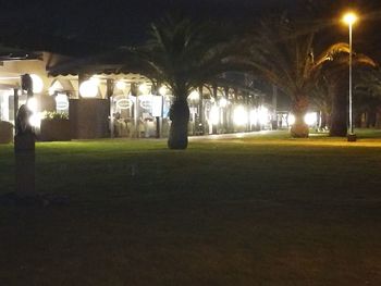 Illuminated park at night