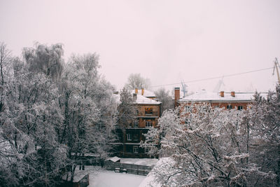 Snow covered plants against clear sky