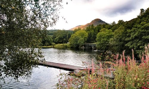 Scenic view of lake in forest against sky