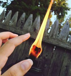 Close-up of person hand holding wood