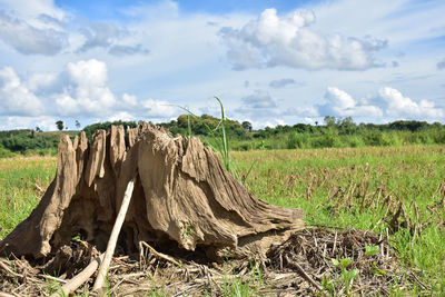 Panoramic view of arid landscape against sky