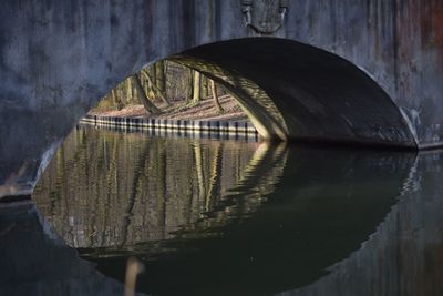 Reflection of bridge in water