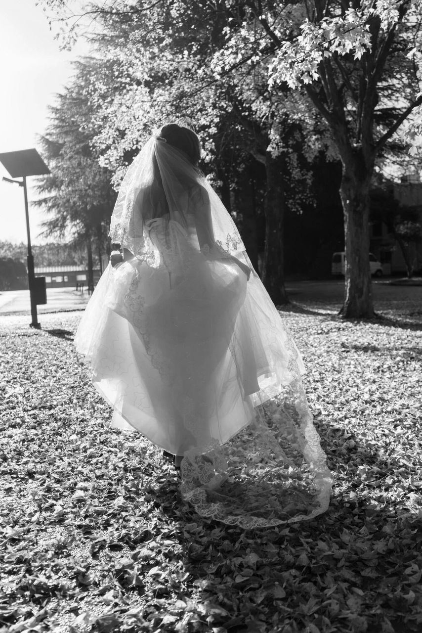 wedding dress, bride, tree, rear view, wedding, women, one person, one woman only, full length, life events, adult, adults only, real people, people, only women, outdoors, bouquet, day