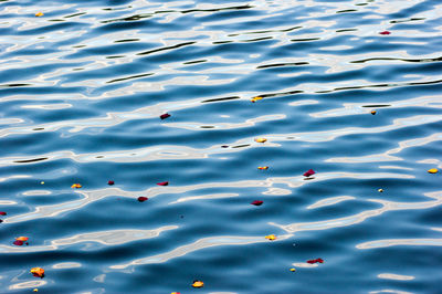 Full frame shot of white background