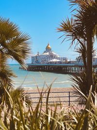 Palm trees by sea against sky