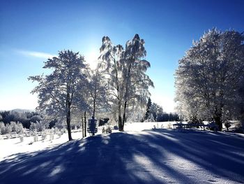 Bare trees on snow covered landscape