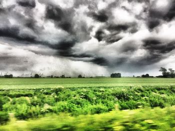 Scenic view of agricultural field against sky