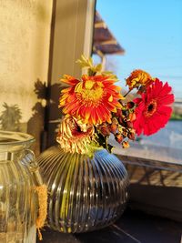 Close-up of flowering plant in glass vase