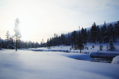 Snow covered landscape against sky