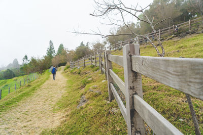 Man on wooden fence by trees against sky