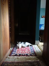 Dog relaxing at home