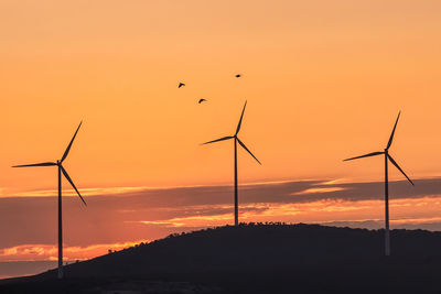 Low angle view of silhouette birds against sky during sunset
