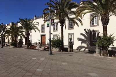 Street by palm trees and buildings against sky