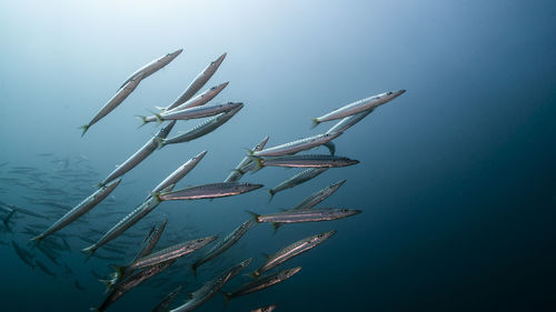 Aerial view of a sea