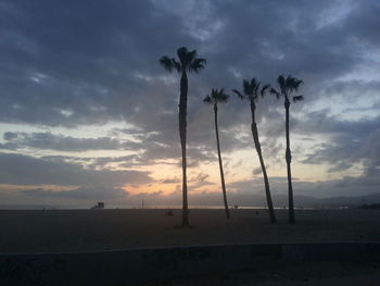 Palm trees against cloudy sky