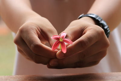 Close-up of hand holding pink flower