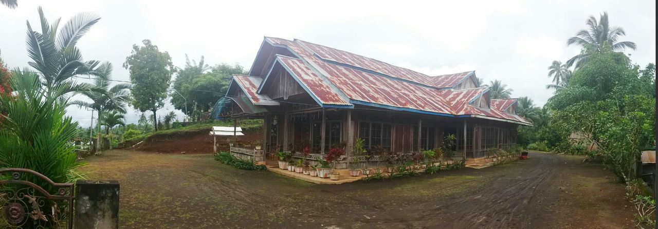 architecture, built structure, building exterior, house, tree, sky, residential structure, day, outdoors, plant, no people, roof, residential building, the way forward, growth, sunlight, footpath, clear sky, nature, auto post production filter