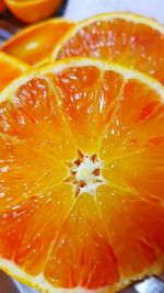 Close-up of orange