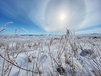 Snow covered land against sky