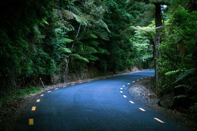 Road amidst trees in forest