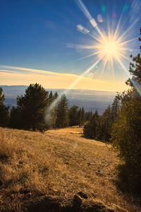 Scenic view of field against sky at sunset