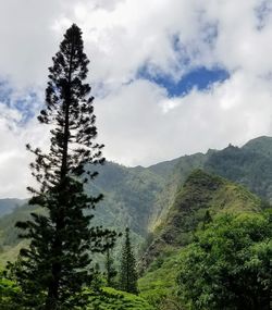 Scenic view of tree mountains against sky