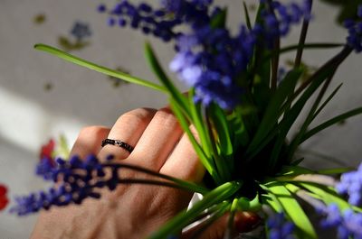 Close-up of woman hand on purple flower