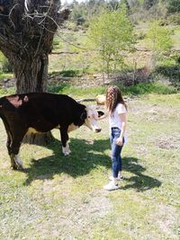 Side view of horse standing on field