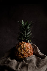 Close-up of pine cone on table against black background