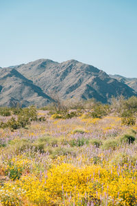 Scenic view of mountains against clear sky