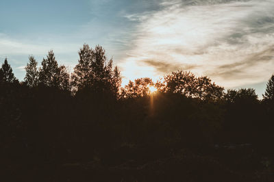 Silhouette trees in forest against sky during sunset